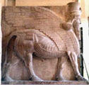 Assyrian winged bull